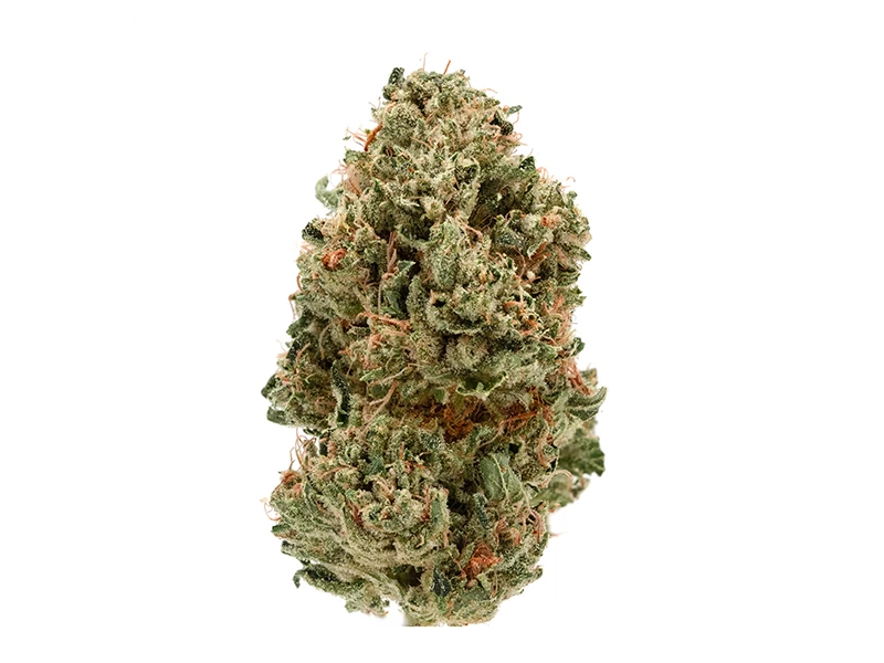 Og Kush