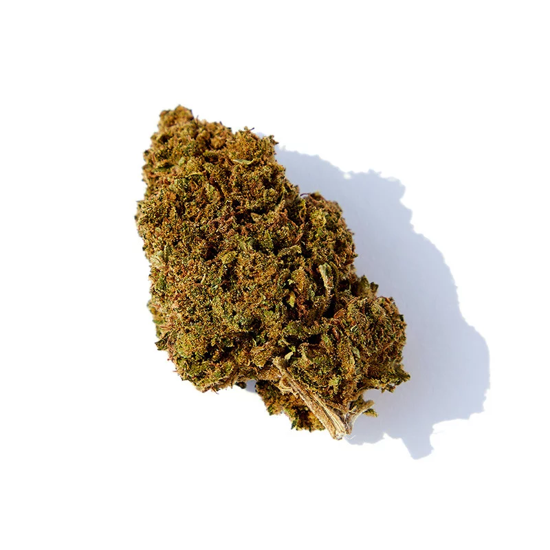 CRITICAL +